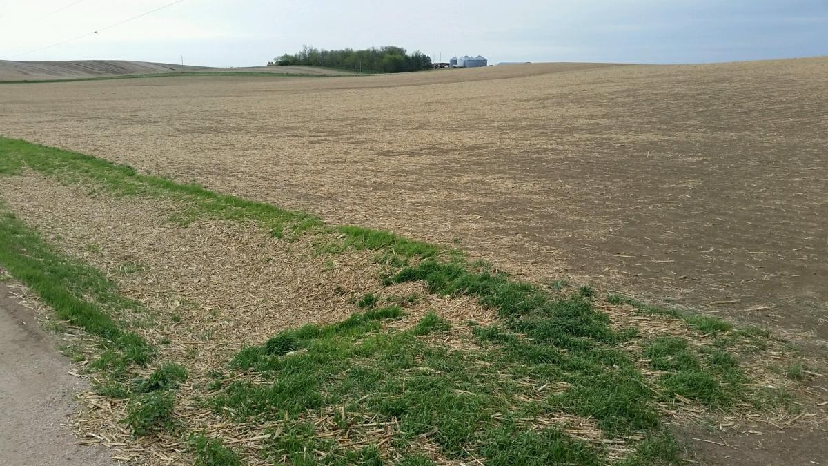 Practices to Reduce Wind Erosion CropWatch University of